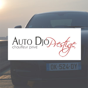 Auto Djo Prestige : logo, carte de visite, site web