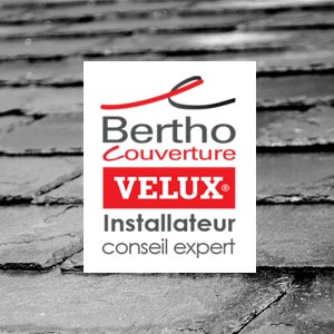 Bertho Velux : logo