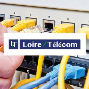 Loire Telecom logo et charte graphique