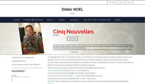Didier Noe Site Web E-commerce administrable