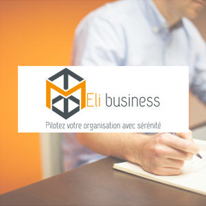 MEliBusiness site web