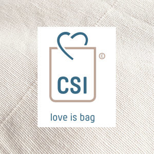 CSI mise en page site web