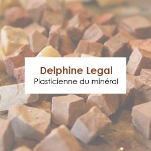 Delphine Legal mosaic site web