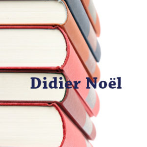 Didier Noe Site Web E-commerce administrable mise en page