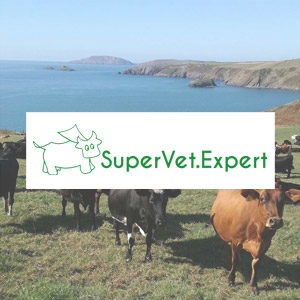 SuperVet site web e-commerce herbignac 44