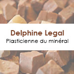 Delphine Legal mosaic site web