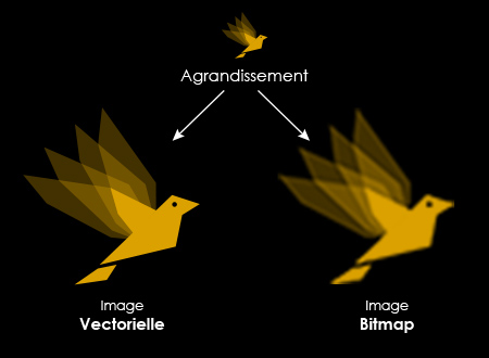 Bitmap Vectorielle Agrandissement