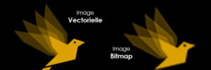 Images Bitmap Vectorielle agence de communication