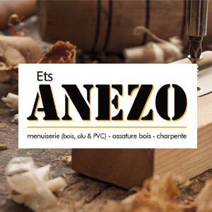 Anezo logo carte de visite impression création site web