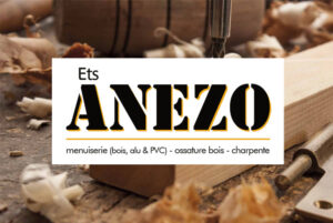 Anezo logo carte de visite impression création site web