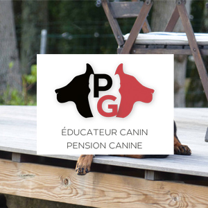 PG éducateur canin pension canine herbignac site web carte de visite bâche