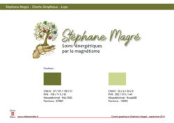 Charte Graphique magnétiseur