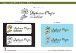 Charte Graphique magnétiseur