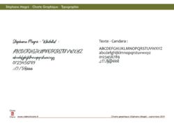 Charte Graphique magnétiseur