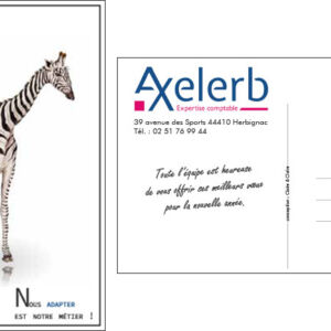 Carte de Voeux 2019 - Axelerb